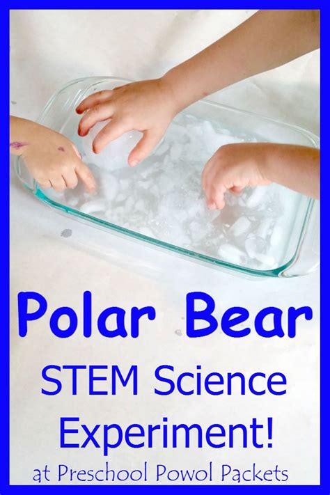 Polar magic education